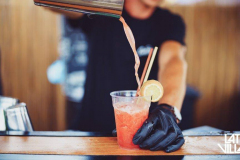 LV2019_2_days_99_van_212